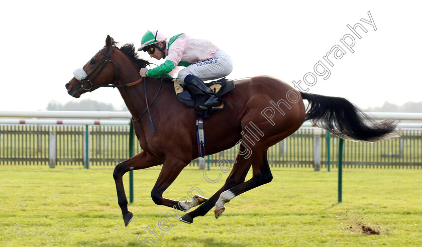 Bell-Rock-0007 
 BELL ROCK (Oisin Murphy) wins The Willow Novice Stakes
Newmarket 24 Oct 2018 - Pic Steven Cargill / Racingfotos.com