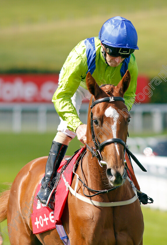 Value-Theory-0001 
 VALUE THEORY (Joe Fanning)
Goodwood 28 Aug 2021 - Pic Steven Cargill / Racingfotos.com