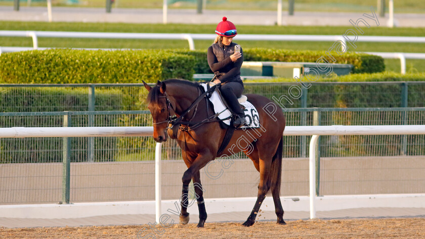 Trevaunance-0001 
 TREVAUNANCE training at the Dubai Racing Carnival
Meydan 1 Mar 2024 - Pic Steven Cargill / Racingfotos.com