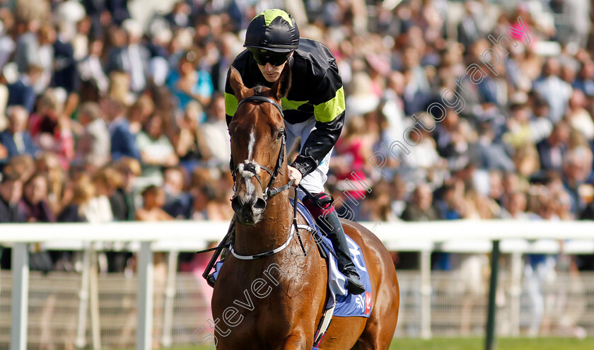 Magical-Zoe-0009 
 MAGICAL ZOE (W J Lee) winner of Sky Bet Ebor Handicap
York 24 Aug 2024 - Pic Steven Cargill / Racingfotos.com