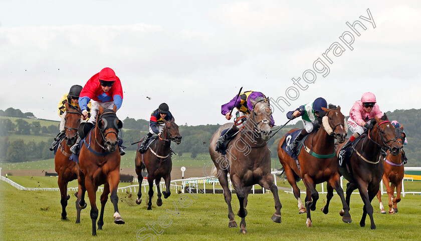 David s-Beauty-0002 
 DAVID'S BEAUTY (left, Luke Morris) beats ZIPEDEEDODAH (centre) KINGSTREET LADY (2nd right) and JOHN JOINER (right) in The Davies, Lovell And Sutton On Course Bookmakers Handicap Chepstow 6 Sep 2017 - Pic Steven Cargill / Racingfotos.com