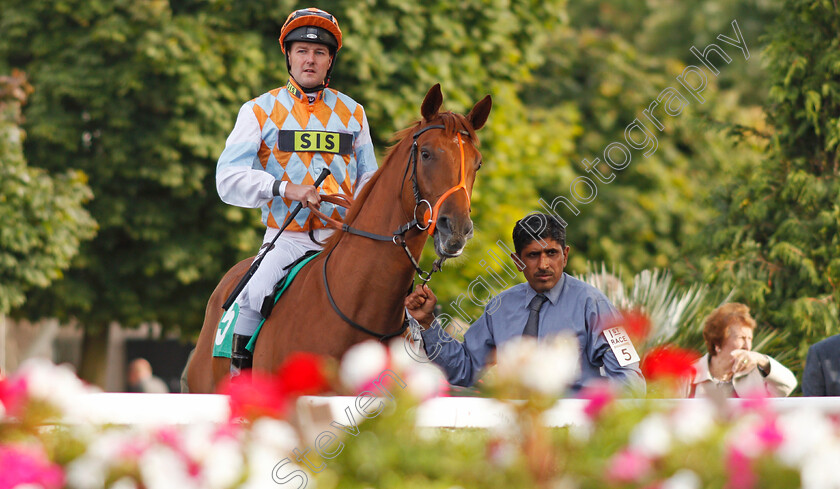 Sir-Rodneyredblood-0001 
 SIR RODNEYREDBLOOD (Tom Queally)
Kempton 3 Sep 2019 - Pic Steven Cargill / Racingfotos.com