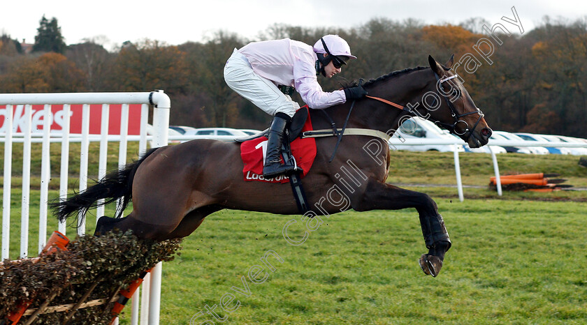 Global-Citizen-0004 
 GLOBAL CITIZEN (David Bass) wins The Ladbrokes Intermediate Handicap Hurdle
Newbury 1 Dec 2018 - Pic Steven Cargill / Racingfotos.com