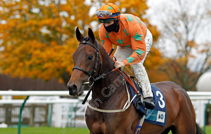 Love-Is-Golden-0002 
 LOVE IS GOLDEN (Richard Kingscote)
Newmarket 21 Oct 2020 - Pic Steven Cargill / Racingfotos.com