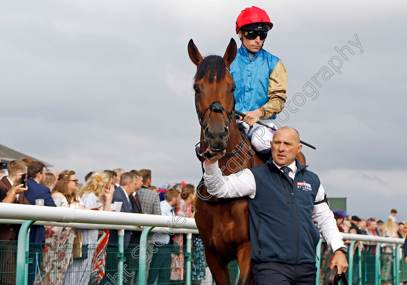 Gregory-0001 
 GREGORY (Kieran Shoemark)
Doncaster 16 Sep 2023 - Pic Steven Cargill / Racingfotos.com