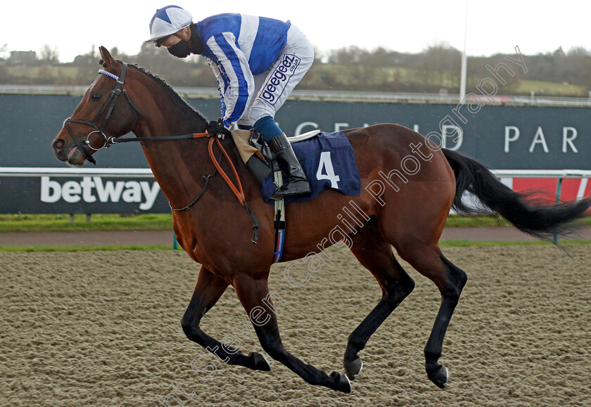 Bangkok-0001 
 BANGKOK (David Probert)
Lingfield 19 Dec 2020 - Pic Steven Cargill / Racingfotos.com