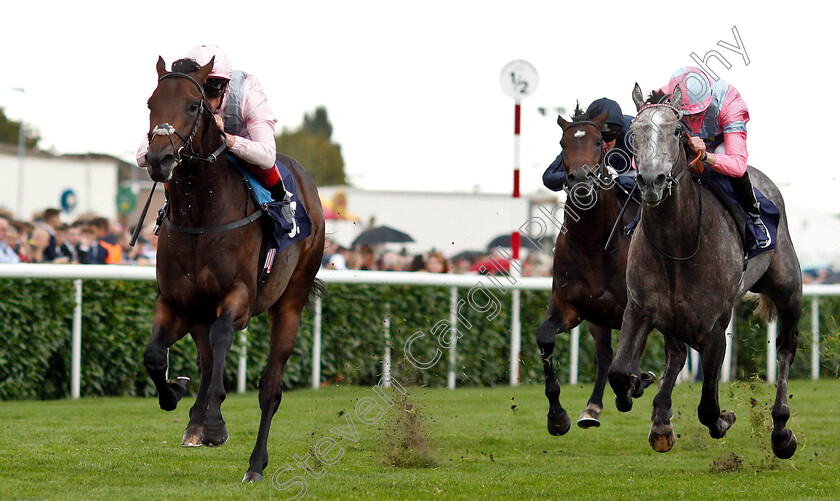 Too-Darn-Hot-0005 
 TOO DARN HOT (Frankie Dettori) wins The Howcroft Industrial Supplies Champagne Stakes
Doncaster 15 Sep 2018 - Pic Steven Cargill / Racingfotos.com