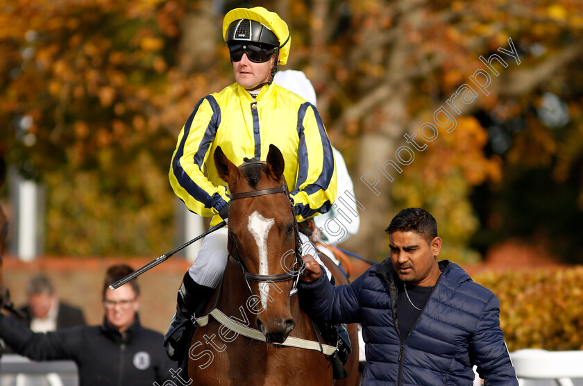 Earthy-Mangold-0002 
 EARTHY MANGOLD (Tom Queally)
Newmarket 19 Oct 2022 - Pic Steven Cargill / Racingfotos.com