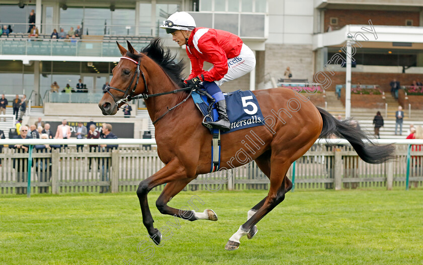 Eben-Shaddad-0002 
 EBEN SHADDAD (Benoit de la Sayette)
Newmarket 28 Sep 2023 - Pic Steven Cargill / Racingfotos.com