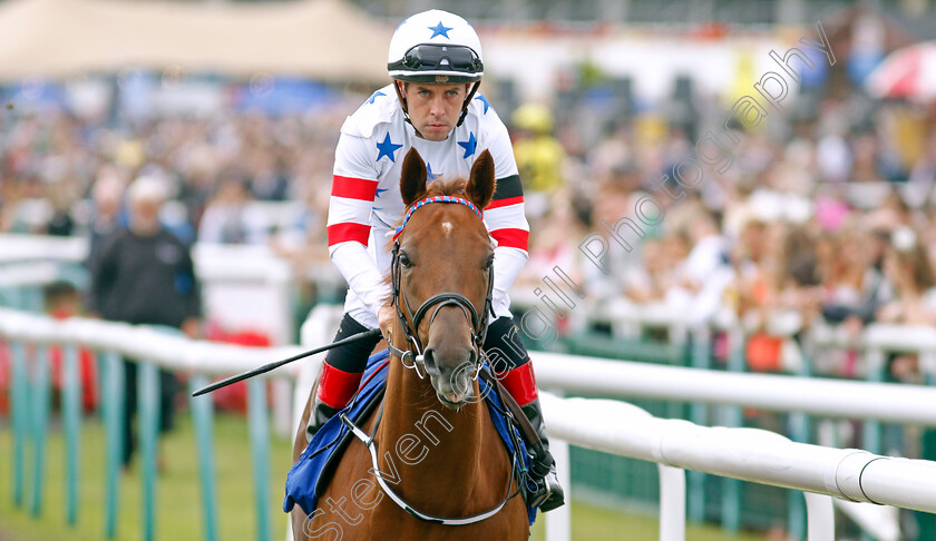 Harry-Time-0001 
 HARRY TIME (L Roche)
Doncaster 11 Sep 2022 - Pic Steven Cargill / Racingfotos.com