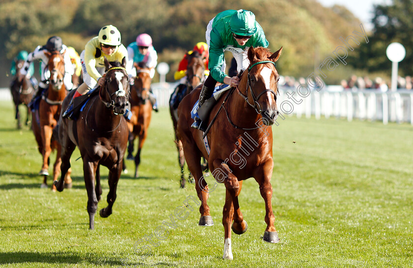 Senza-Limiti-0003 
 SENZA LIMITI (James Doyle) wins The Radcliffe & Co EBF Novice Stakes Div1
Salisbury 3 Oct 2018 - Pic Steven Cargill / Racingfotos.com