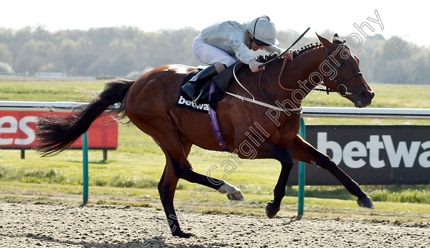 Matterhorn-0006 
 MATTERHORN (Joe Fanning) wins The Betway Easter Classic All-Weather Middle Distance Championships Stakes
Lingfield 19 Apr 2019 - Pic Steven Cargill / Racingfotos.com