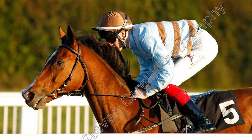 Dereham-0001 
 DEREHAM (David Egan)
Chelmsford 3 Oct 2024 - Pic Steven Cargill / Racingfotos.com