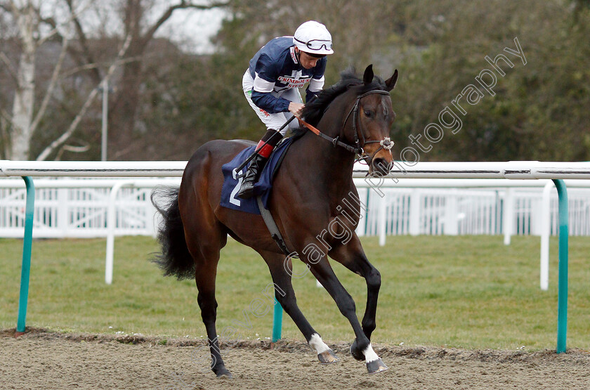 Swiss-Pride-0001 
 SWISS PRIDE (Shane Kelly) winner of The Betway Maiden Stakes
Lingfield 2 Mar 2019 - Pic Steven Cargill / Racingfotos.com