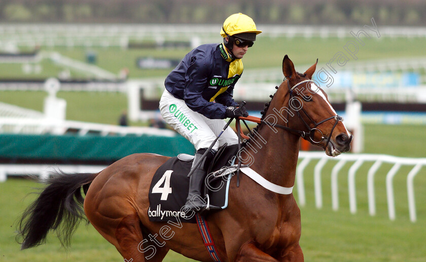 I-Can t-Explain-0001 
 I CAN'T EXPLAIN (Nico De Boinville)
Cheltenham 1 Jan 2019 - Pic Steven Cargill / Racingfotos.com