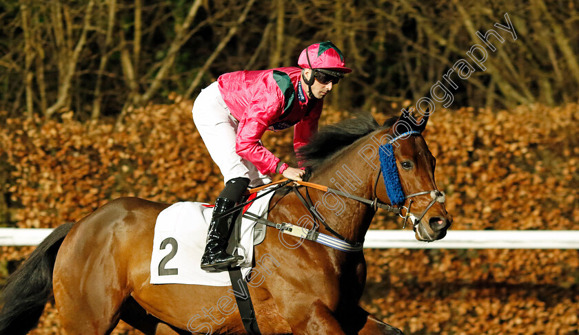 Chipstead-0001 
 CHIPSTEAD (Jack Mitchell)
Kempton 14 Feb 2024 - Pic Steven Cargill / Racingfotos.com