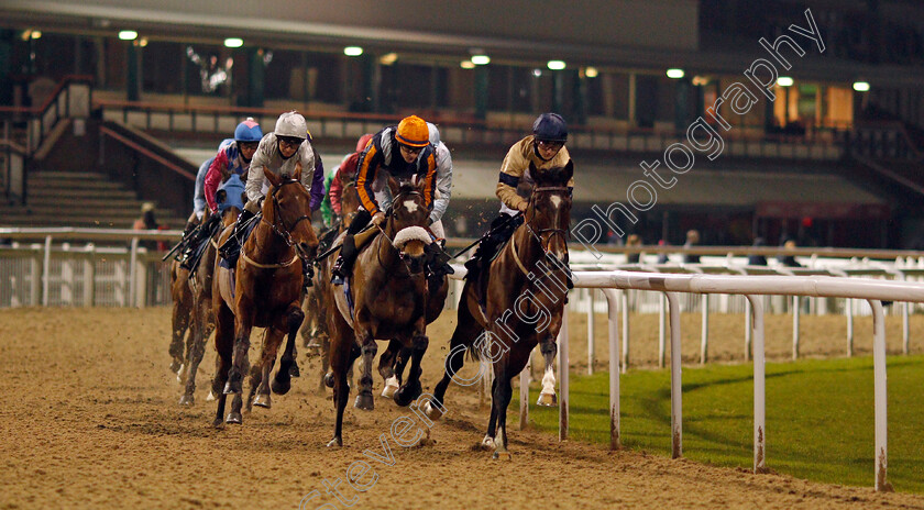 Mildenberger-0002 
 MILDENBERGER (left, Joe Fanning) with NATE THE GREAT (centre) and OUTBOX (right, Hollie Doyle)
Wolverhampton 18 Jan 2021 - Pic Steven Cargill / Racingfotos.com