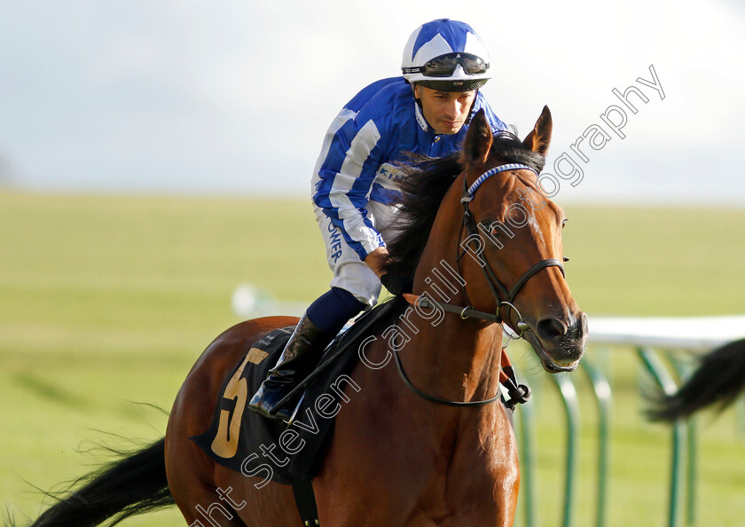 Greatgadian-0002 
 GREATGADIAN (Silvestre De Sousa)
Newmarket 30 Oct 2021 - Pic Steven Cargill / Racingfotos.com