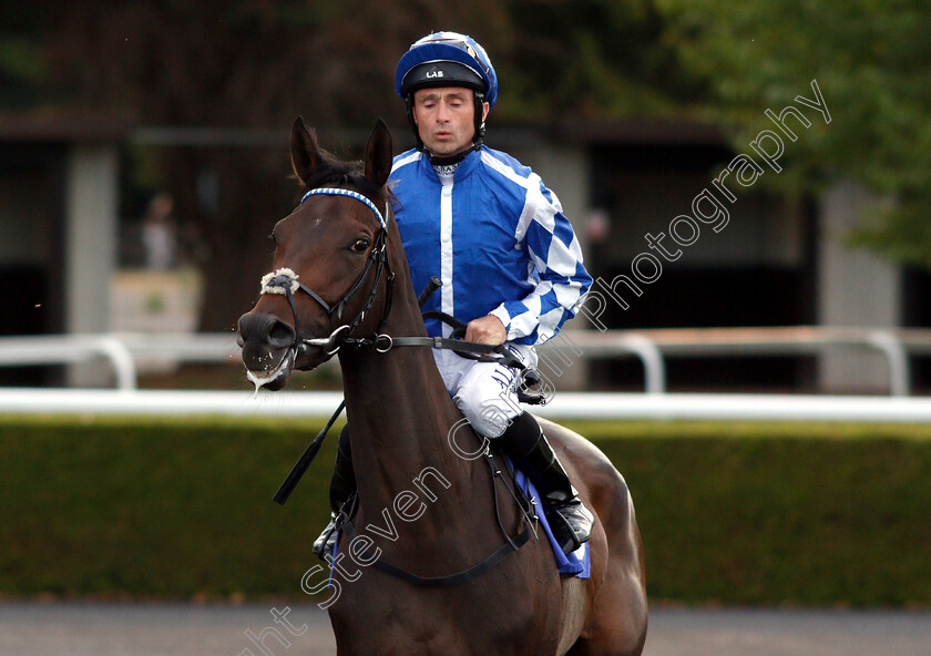 Hameem-0001 
 HAMEEM (Dane O'Neill)
Kempton 8 Aug 2018 - Pic Steven Cargill / Racingfotos.com