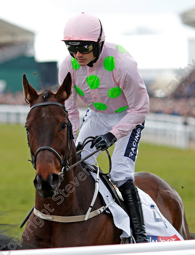 Getabird-0002 
 GETABIRD (Ruby Walsh) Cheltenham 13 Mar 2018 - Pic Steven Cargill / Racingfotos.com