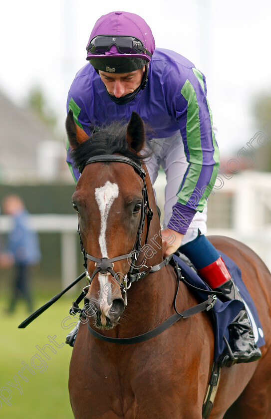 Thatsthefinest-0001 
 THATSTHEFINEST (Adam Kirby)
Yarmouth 14 Jul 2021 - Pic Steven Cargill / Racingfotos.com