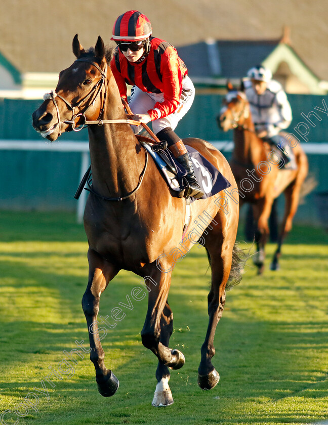 Kingofhell-0001 
 KINGOFHELL (Saffie Osborne)
Yarmouth 18 Oct 2022 - Pic Steven Cargill / Racingfotos.com