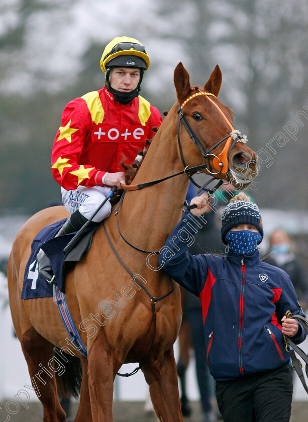 Noble-Mark-0001 
 NOBLE MARK (Luke Morris)
Lingfield 25 Jan 2022 - Pic Steven Cargill / Racingfotos.com