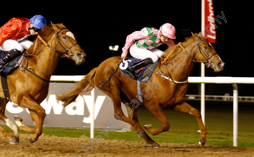 Engrossed-0004 
 ENGROSSED (Rob Hornby) wins The Ladbrokes Home Of The Odds Boost Fillies Novice Stakes Div2
Wolverhampton 10 Dec 2018 - Pic Steven Cargill / Racingfotos.com