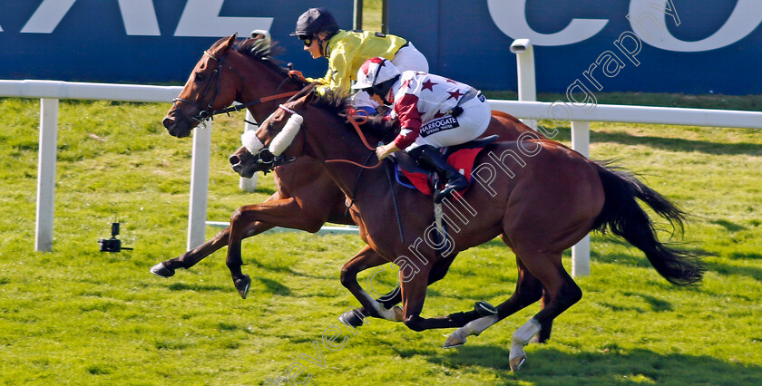 Gavi-Di-Gavi-0004 
 GAVI DI GAVI (Georgia King) beats ROMAN DYNASTY (right) in The Vintage Aquisitions Whisky Chaser Handicap
Sandown 7 Jul 2023 - Pic Steven Cargill / Racingfotos.com