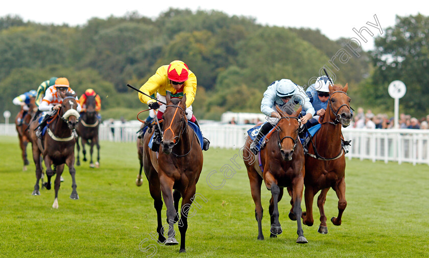 Undertheboardwalk-0004 
 UNDERTHEBOARDWALK (Oisin Murphy) beats PEINTRE D'ETOILES (centre) and RED GENESIS (right) in The Sorvio Insurance Brokers Novice Stakes Div2
Salisbury 12 Aug 2021 - Pic Steven Cargill / Racingfotos.com