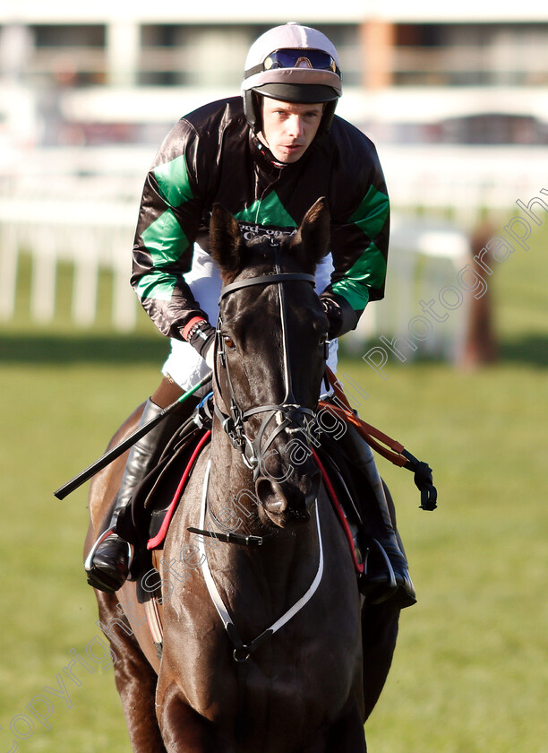 Strong-Glance-0001 
 STRONG GLANCE (Alain Cawley) 
Newbury 30 Nov 2018 - Pic Steven Cargill / Racingfotos.com