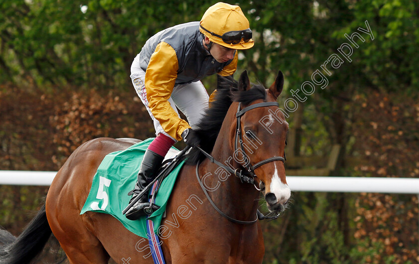 Witness-Stand-0002 
 WITNESS STAND (Oisin Murphy)
Kempton 6 Apr 2024 - Pic Steven Cargill / Racingfotos.com