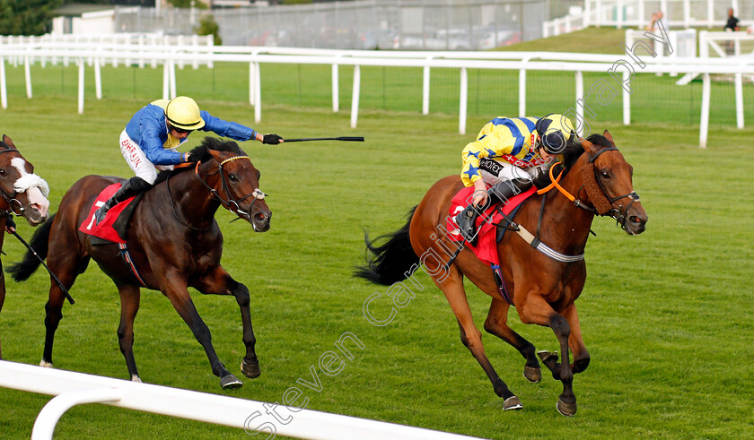 Lyndon-B-0002 
 LYNDON B (Daniel Muscutt) beats MUMTAAZ (left) in The Hwfa Williams Handicap
Sandown 21 Jul 2021 - Pic Steven Cargill / Racingfotos.com