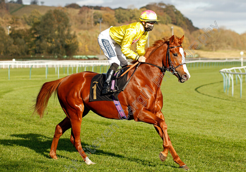 Aussie-Rascal-0002 
 AUSSIE RASCAL (Harry Bentley)
Nottingham 4 Nov 2020 - Pic Steven Cargill / Racingfotos.com