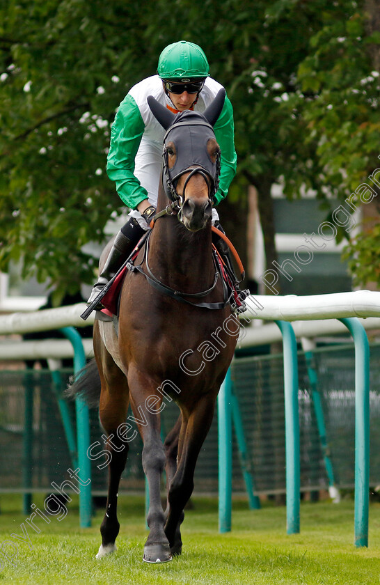 Edward-Cornelius 
 EDWARD CORNELIUS (Sam James)
Haydock 21 May 2022 - Pic Steven Cargill / Racingfotos.com