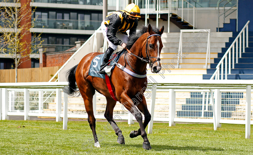 Whenthedealinsdone-0001 
 WHENTHEDEALINSDONE (P J McDonald)
Newbury 15 May 2021 - Pic Steven Cargill / Racingfotos.com