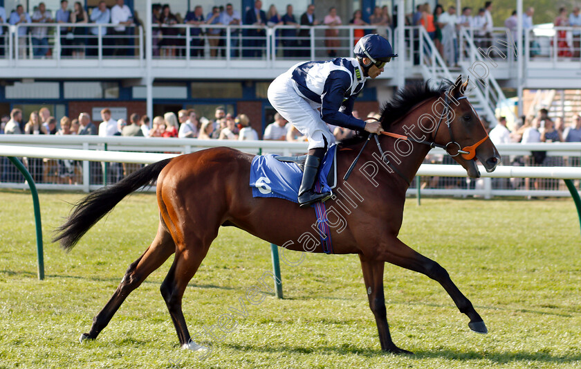 Temple-Of-Heaven-0001 
 TEMPLE OF HEAVEN (Sean Levey) before winning The Soiza Family Novice Stakes
Nottingham 20 Apr 2019 - Pic Steven Cargill / Racingfotos.com