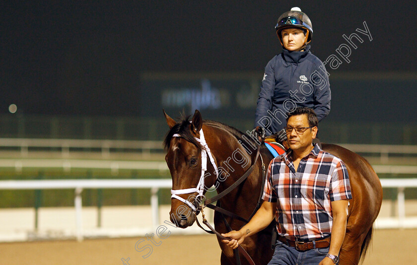 Life-Is-Good-0005 
 LIFE IS GOOD training for the Dubai World Cup
Meydan, Dubai, 22 Mar 2022 - Pic Steven Cargill / Racingfotos.com