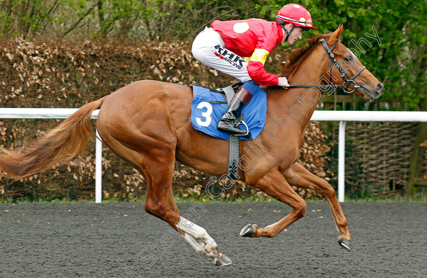 Cat-And-The-Fiddle-0001 
 CAT AND THE FIDDLE (David Egan)
Kempton 10 Apr 2023 - Pic Steven Cargill / Racingfotos.com