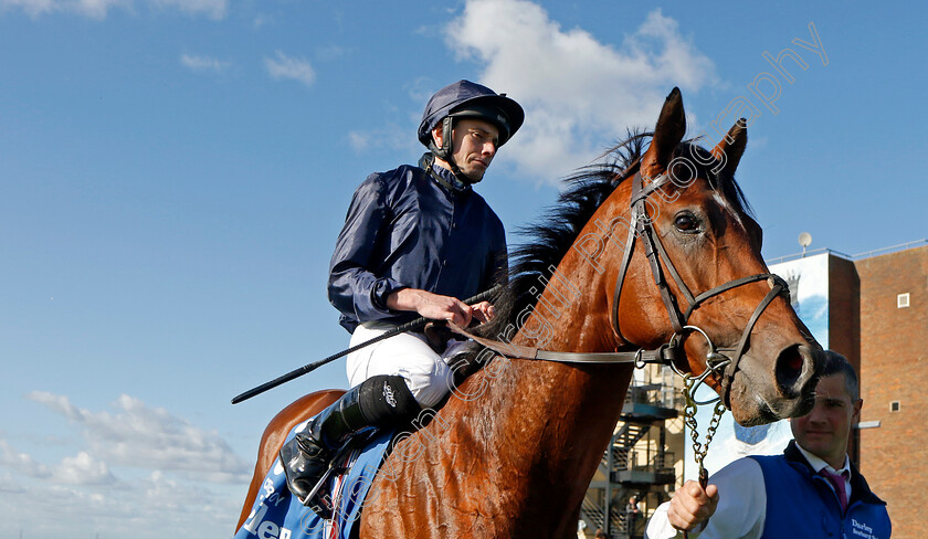 City-Of-Troy-0014 
 CITY OF TROY (Ryan Moore) winner of The Dewhurst Stakes
Newmarket 14 Oct 2023 - Pic Steven Cargill / Racingfotos.com