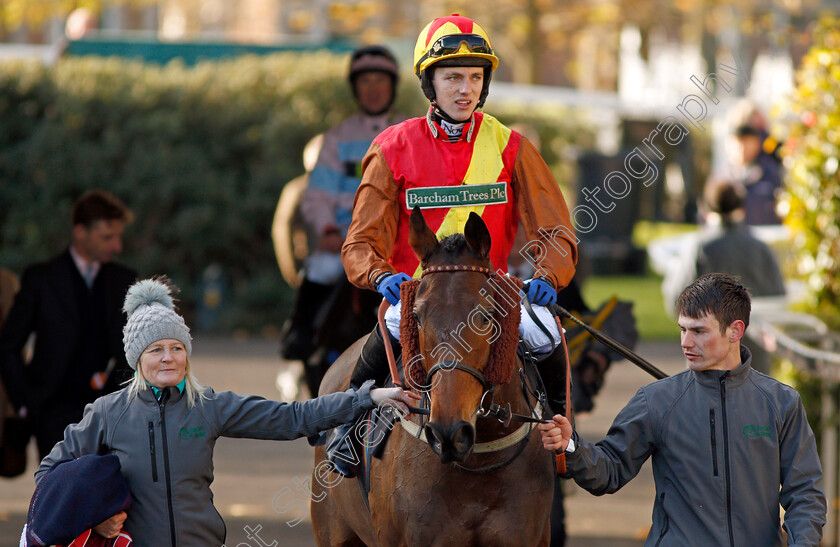 Graceful-Legend-0007 
 GRACEFUL LEGEND (Max Kendrick) after The Trisoft Mares Handicap Hurdle Ascot 25 Nov 2017 - Pic Steven Cargill / Racingfotos.com