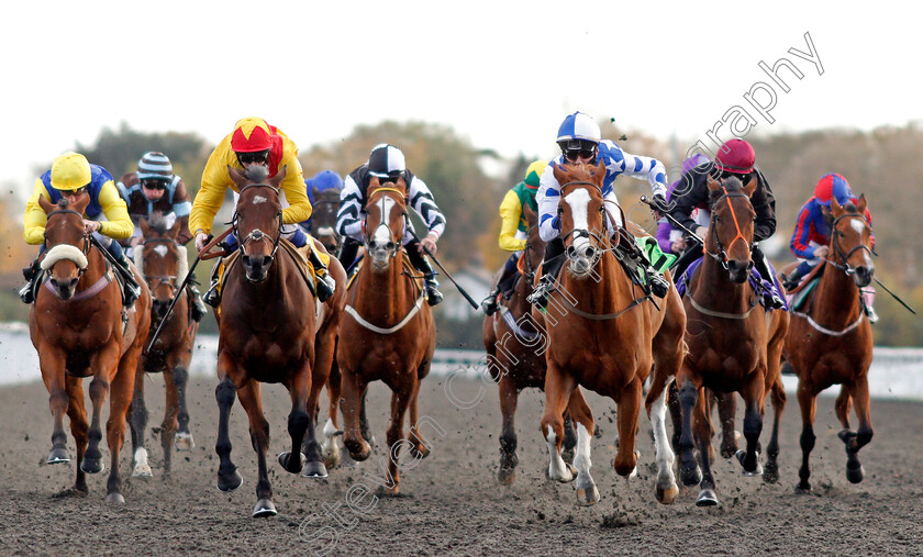 Party-Island-0004 
 PARTY ISLAND (right, George Bass) beats MINI MILK (left) in The Try Our New Price Boosts At Unibet Handicap
Kempton 2 Nov 2020 - Pic Steven Cargill / Racingfotos.com