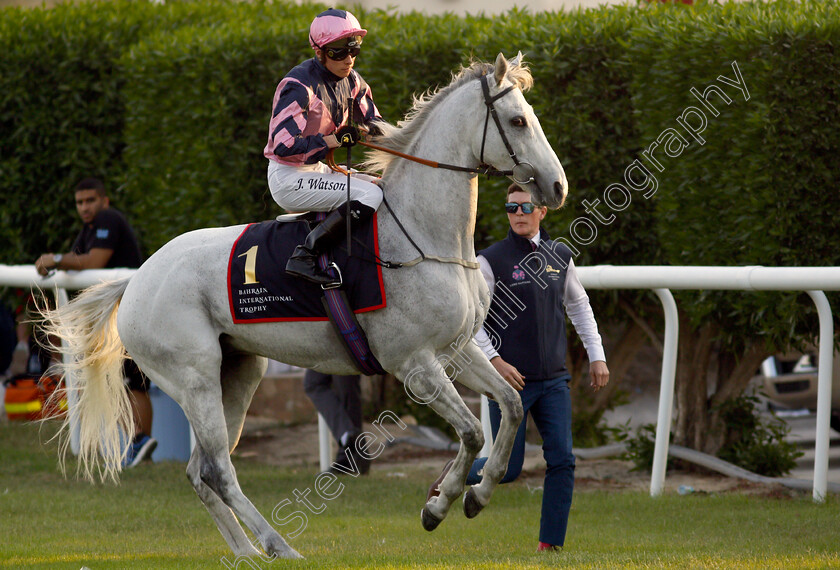 Lord-Glitters-0024 
 LORD GLITTERS (Jason Watson) goes to the start for The Bahrain International Trophy
Sakhir Racecourse, Bahrain 19 Nov 2021 - Pic Steven Cargill / Racingfotos.com