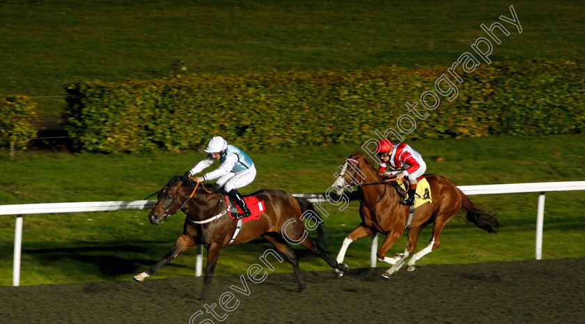 Intuitive-0001 
 INTUITIVE (P J McDonald) beats KIMIFIVE (right) in The 32Red Handicap
Kempton 9 Oct 2019 - Pic Steven Cargill / Racingfotos.com