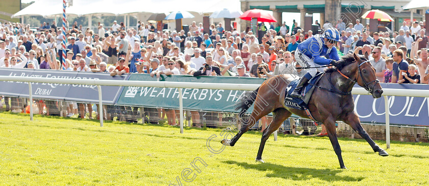 Battaash-0004 
 BATTAASH (Jim Crowley) wins The Coolmore Nunthorpe Stakes
York 23 Aug 2019 - Pic Steven Cargill / Racingfotos.com