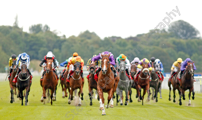 Mums-Tipple-0001 
 MUMS TIPPLE (Ryan Moore) wins The Goffs Uk Premier Yearling Stakes
York 22 Aug 2019 - Pic Steven Cargill / Racingfotos.com