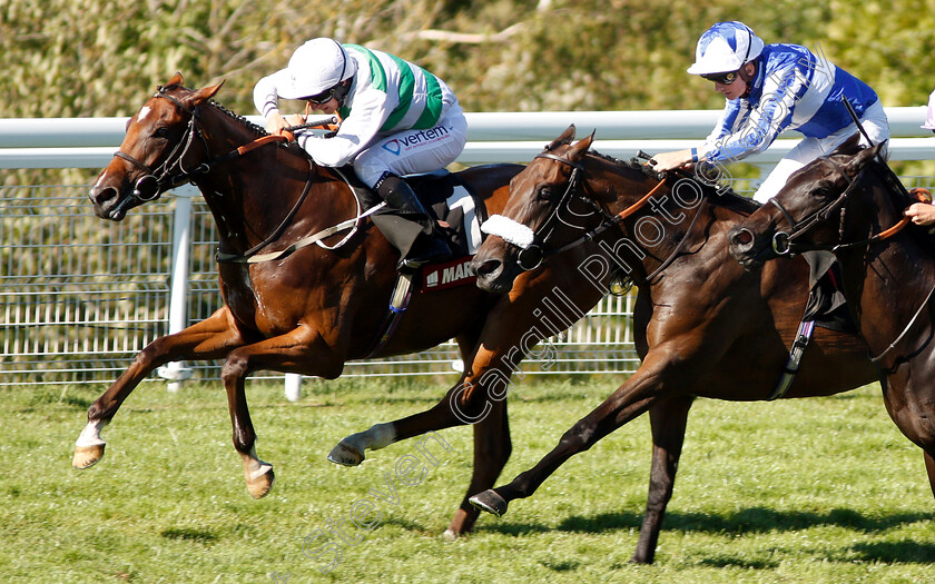 Accordance-0002 
 ACCORDANCE (P J McDonald) beats RUX POWER (right) in The Markel Insurance British EBF Maiden Fillies Stakes
Goodwood 2 Aug 2018 - Pic Steven Cargill / Racingfotos.com