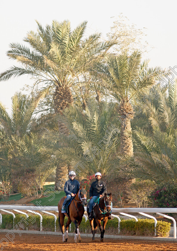 Mandaloun-0011 
 MANDALOUN training for the Saudi Cup
King Abdulaziz Racetrack, Riyadh, Saudi Arabia 22 Feb 2022 - Pic Steven Cargill / Racingfotos.com