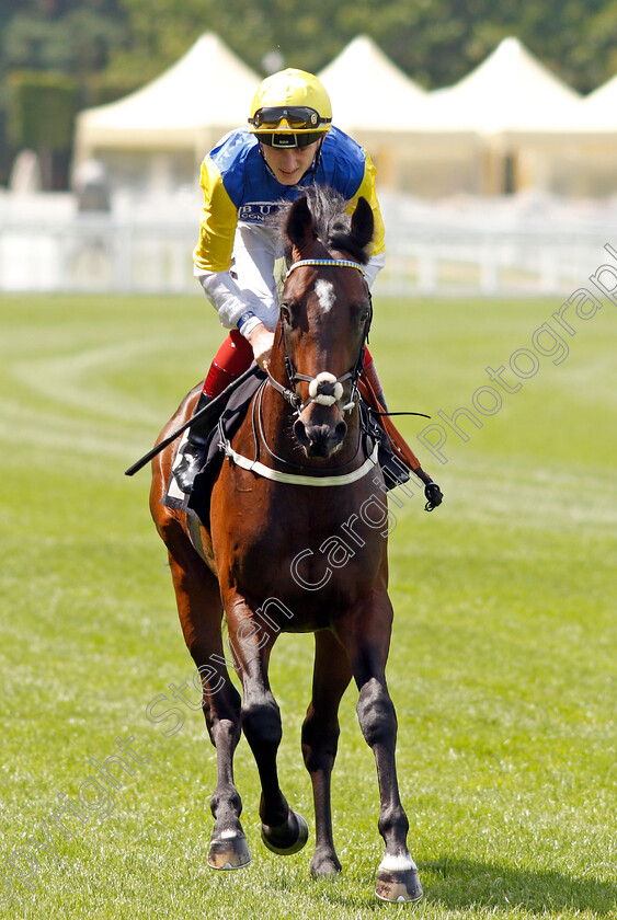 Buxted-Reel-0001 
 BUXTED REEL (David Egan)
Ascot 23 Jul 2021 - Pic Steven Cargill / Racingfotos.com