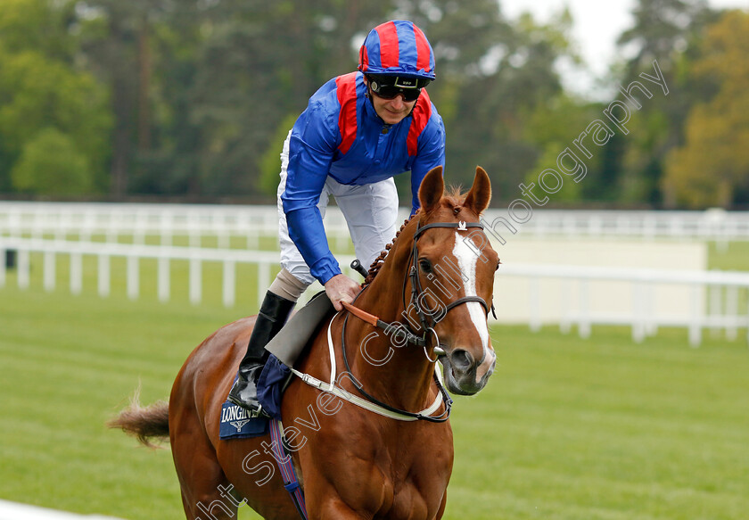 Nayef-Road 
 NAYEF ROAD (Joe Fanning)
Ascot 27 Apr 2022 - Pic Steven Cargill / Racingfotos.com